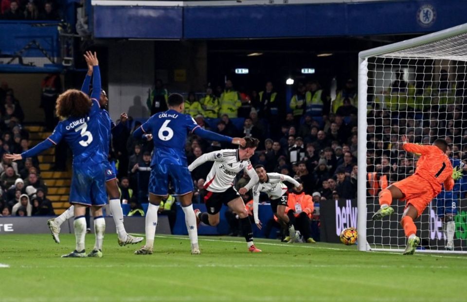 详解棒球规则中的“打击干扰”与捕手站位的平衡